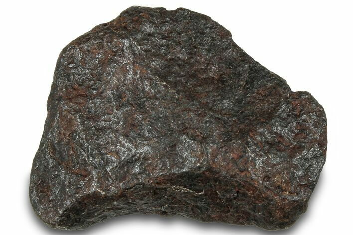 Canyon Diablo Iron Meteorite ( g) - Arizona #319672